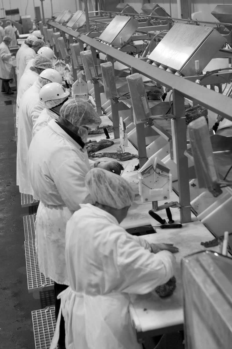 About | Wolverine Packing Co.