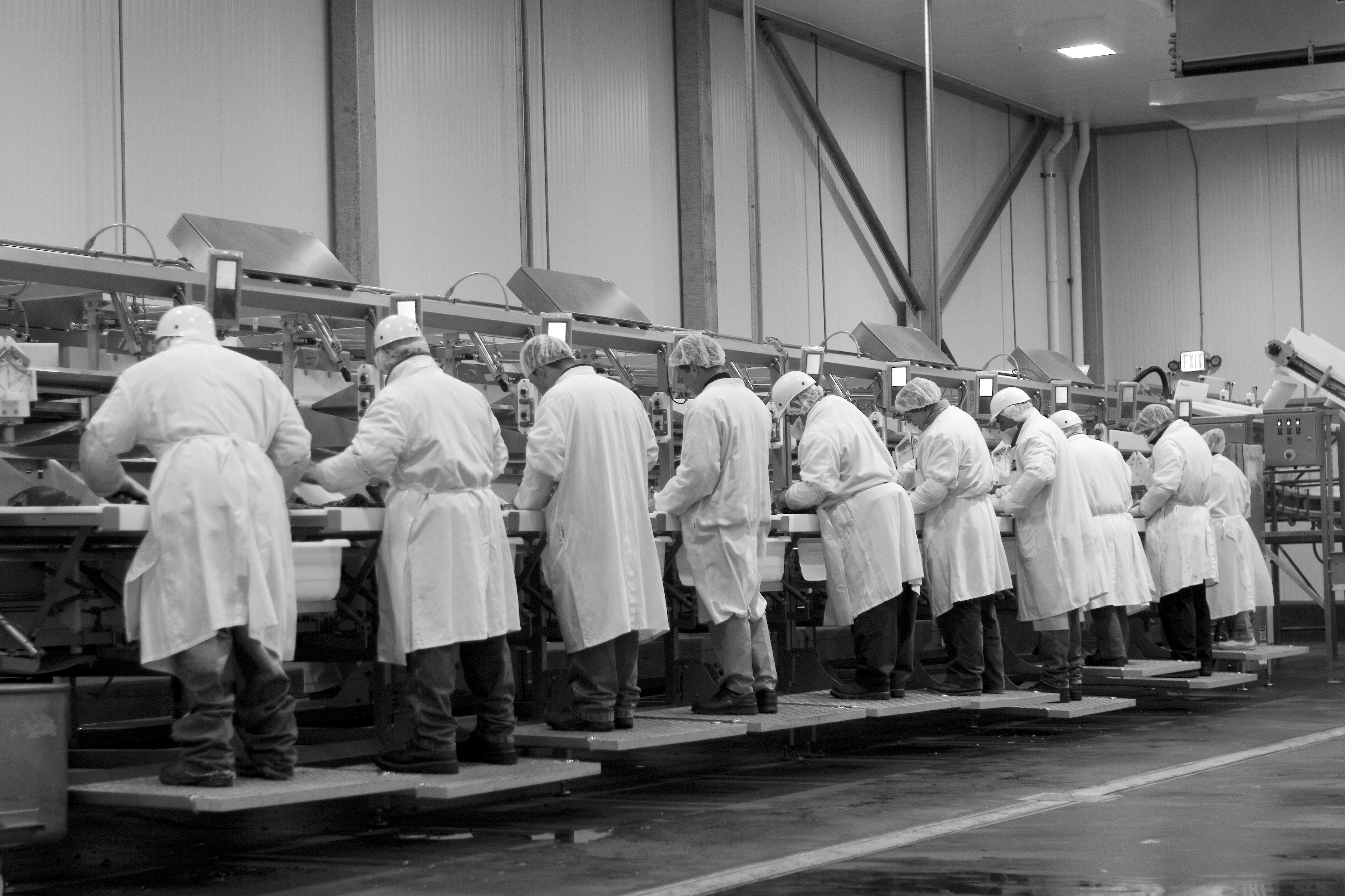 careers at wolverine wolverine packing co factory worker job description