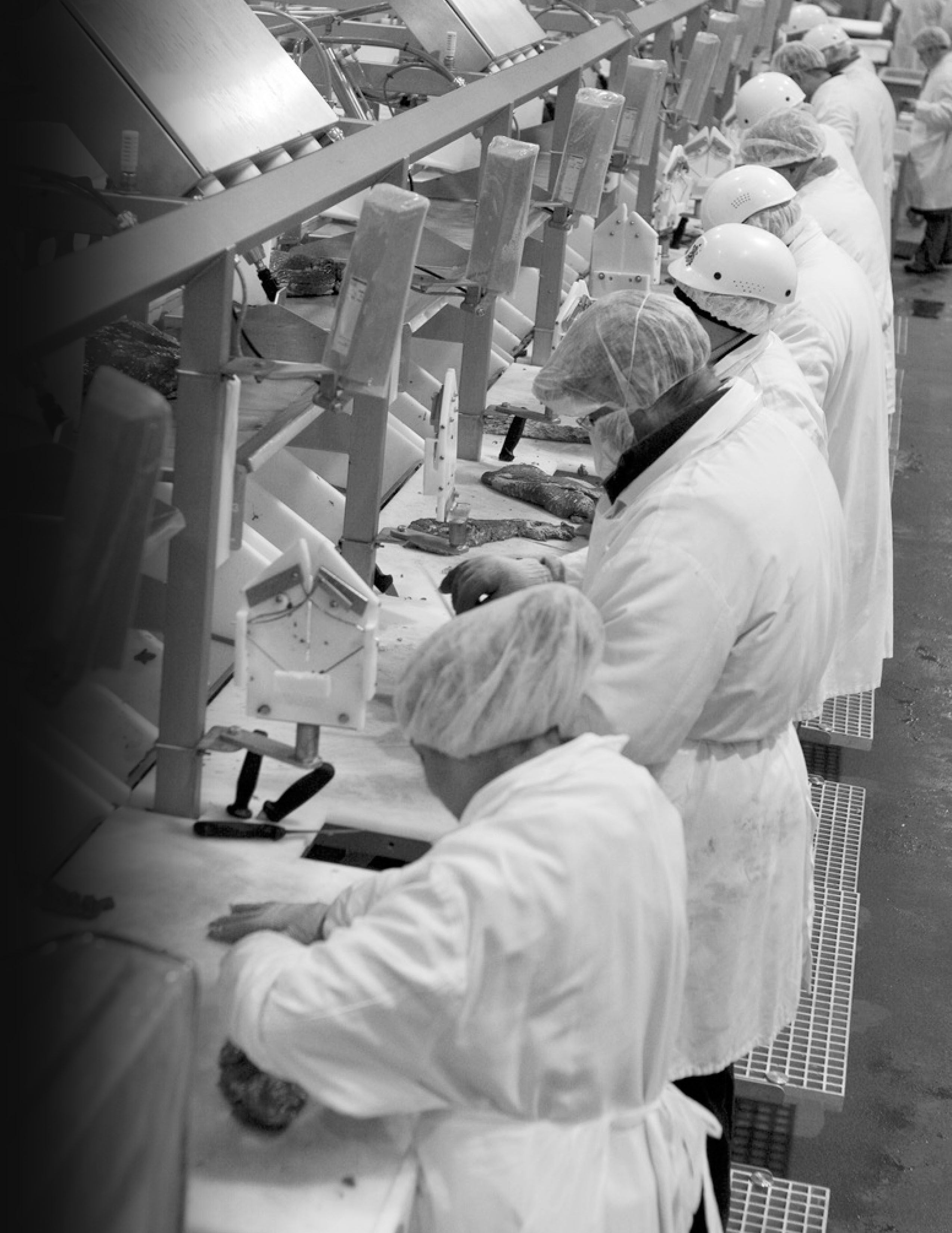 Steak Room Production Line